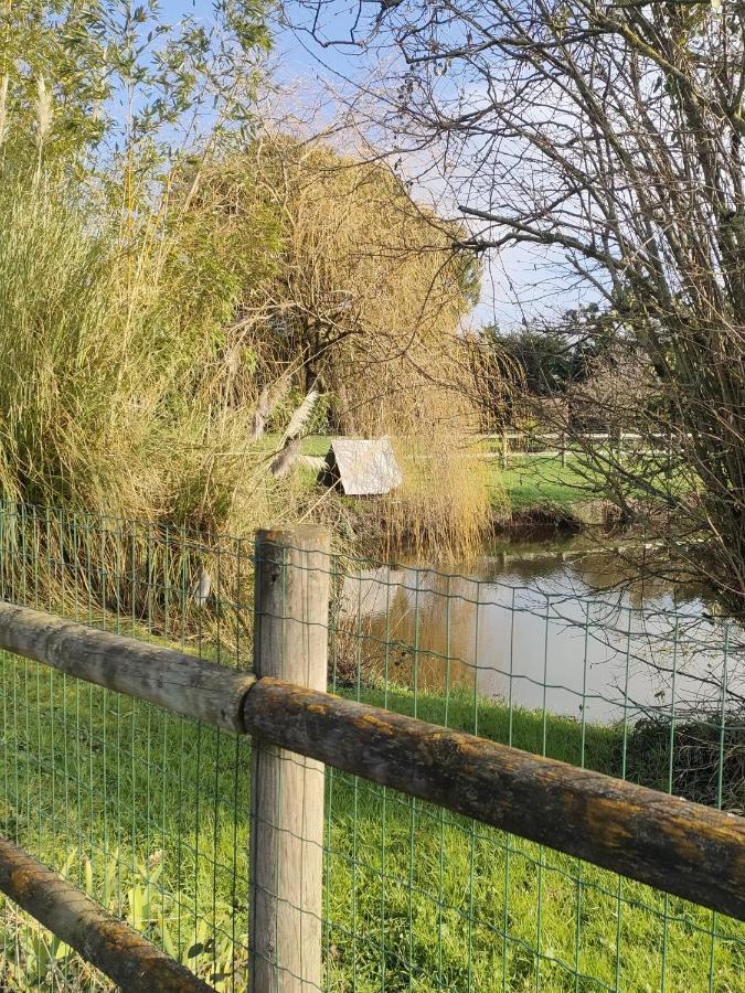 Apartment Jolies Familiales A 10 Minutes Du Puy Du Fou